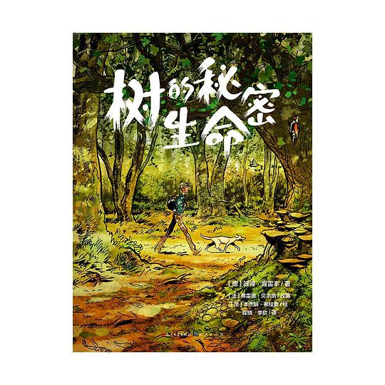 树的秘密生命
