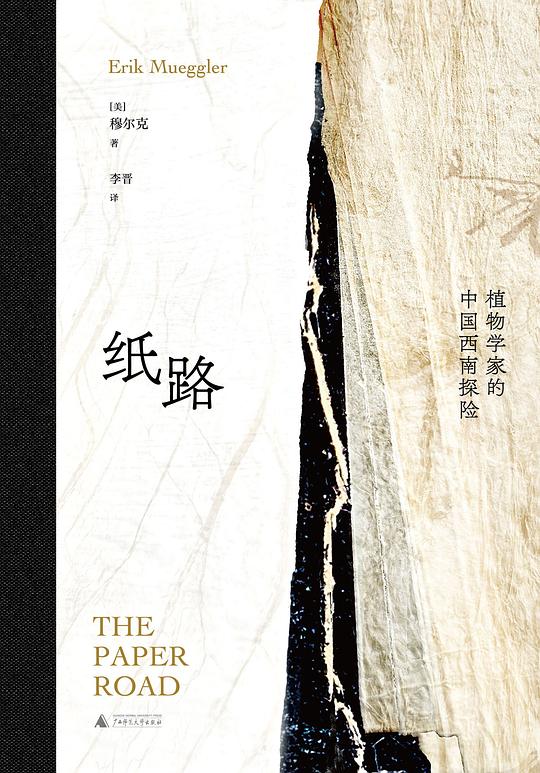 纸路