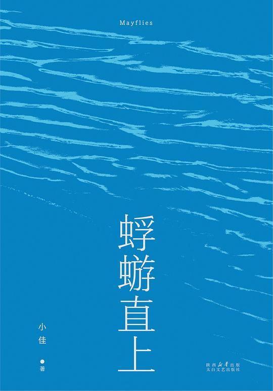 蜉蝣直上