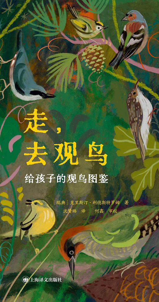 走，去观鸟