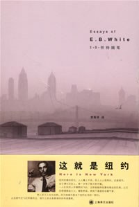 这就是纽约